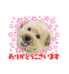 いちごワンだよ5（個別スタンプ：2）