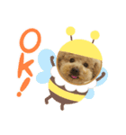 いちごワンだよ5（個別スタンプ：3）