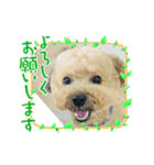 いちごワンだよ5（個別スタンプ：7）