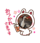 アニマルおじさんスタンプ（個別スタンプ：31）