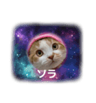 スコティッシュの宇宙（そら）（個別スタンプ：2）