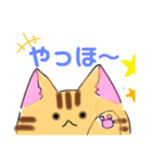 にゃんこ〜ズ スタンプ2！（個別スタンプ：5）