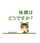 猫の日ごろ5（個別スタンプ：2）