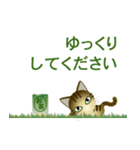 猫の日ごろ5（個別スタンプ：7）