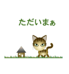 猫の日ごろ5（個別スタンプ：8）