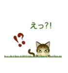 猫の日ごろ5（個別スタンプ：21）