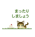 猫の日ごろ5（個別スタンプ：30）