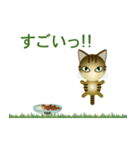 猫の日ごろ5（個別スタンプ：35）