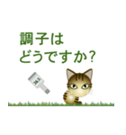 猫の日ごろ5（個別スタンプ：36）