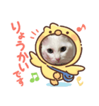 真っ白シロ（個別スタンプ：3）