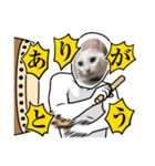 真っ白シロ（個別スタンプ：5）