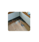 城の内部（個別スタンプ：23）