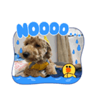 ルカちゃまー♡（個別スタンプ：1）