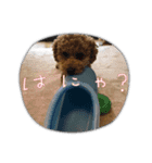 ルカちゃまー♡（個別スタンプ：4）