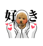 ルカちゃまー♡（個別スタンプ：6）