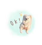 わんすた看板犬のスタンプ（個別スタンプ：4）