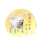 わんすた看板犬のスタンプ（個別スタンプ：5）