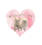 わんすた看板犬のスタンプ（個別スタンプ：8）