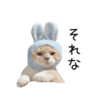 猫のたもくん（個別スタンプ：2）