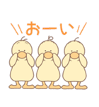 ひよこの3兄弟 2（個別スタンプ：12）