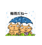 Juns の梅雨の猫たち（個別スタンプ：1）