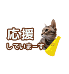 丁寧語も話すアニーちゃん（個別スタンプ：15）