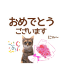 丁寧語も話すアニーちゃん（個別スタンプ：29）