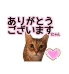 丁寧語も話すアニーちゃん（個別スタンプ：30）