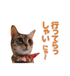 丁寧語も話すアニーちゃん（個別スタンプ：35）