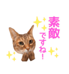 丁寧語も話すアニーちゃん（個別スタンプ：39）
