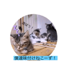 ガッシーねこーず40にゃんシリーズ㉚（個別スタンプ：14）