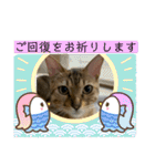 ベンガル猫のミミちゃん（個別スタンプ：28）