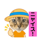 ベンガル猫のミミちゃん（個別スタンプ：30）