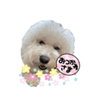 むぅーーーった！（個別スタンプ：4）