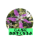 心の世界1 かんしゃしています（個別スタンプ：7）