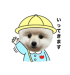 【ラム編】よく使う犬のスタンプ（個別スタンプ：1）