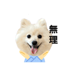 【ラム編】よく使う犬のスタンプ（個別スタンプ：9）