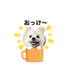 【ラム編】よく使う犬のスタンプ（個別スタンプ：19）