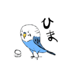 インコのブーちゃん（個別スタンプ：1）