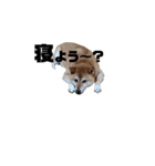 ジンくん。（個別スタンプ：2）