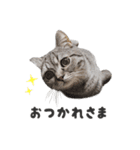 我が家のニャルソック。第1弾！（個別スタンプ：8）
