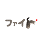我が家のニャルソック。第1弾！（個別スタンプ：12）