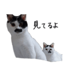 ふみふくのゆるいスタンプ（個別スタンプ：3）