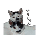 ふみふくのゆるいスタンプ（個別スタンプ：4）