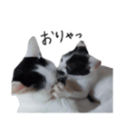 ふみふくのゆるいスタンプ（個別スタンプ：6）