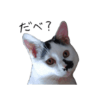 ふみふくのゆるいスタンプ（個別スタンプ：9）