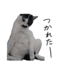 ふみふくのゆるいスタンプ（個別スタンプ：10）