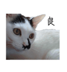 ふみふくのゆるいスタンプ（個別スタンプ：19）