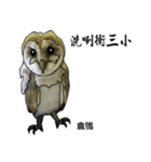 フクロウとワシ（個別スタンプ：7）