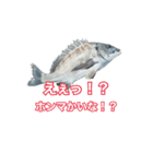 チヌ釣り師専用スタンプ関西弁（個別スタンプ：6）